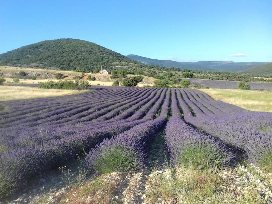 Gite Les Granges Dans Ferme Provencale. 14 Pers Ongles 外观 照片